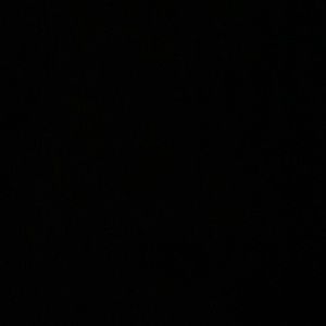 Meet your Posher, Josie